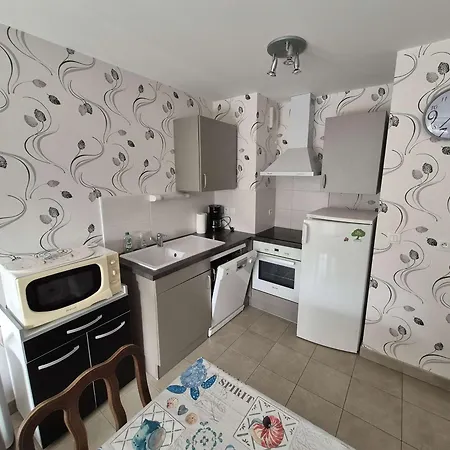 아파트 Rdc Avec Terrasse, 2 Chambres, Parking Prive Et Animaux Admis - - Fr-1-674-32
